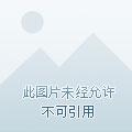 我在超凡世界火炮洗地精