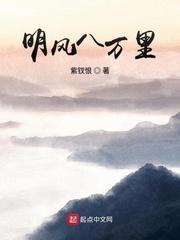 明风八万里书评