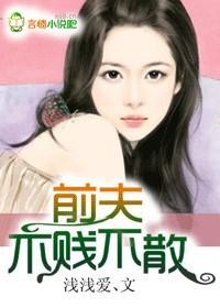 前夫不再见完整