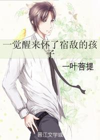 一觉醒来怀了宿敌的孩子(一叶菩提)百度