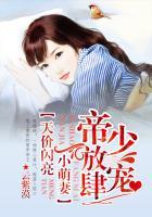 帝少放肆宠天价闪亮小萌妻全本免费