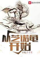 芝诺的乌龟极限